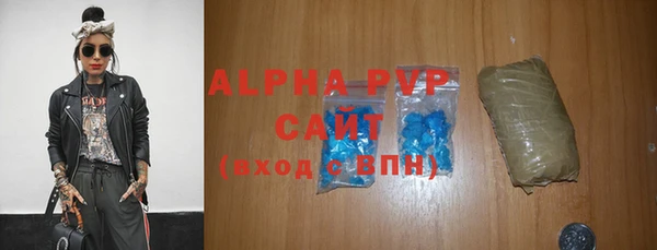 мет Алексин