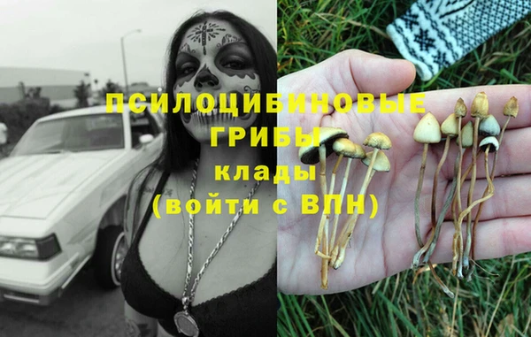 сатива Алзамай