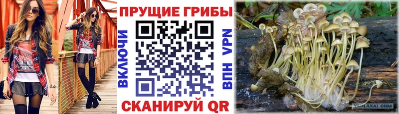 Галлюциногенные грибы GOLDEN TEACHER  Нижняя Салда 